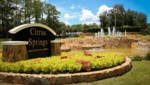 Policías de Florida inspeccionan un vehículo tras el caso de un adolescente que fingió su secuestro y culpó a cárteles mexicanos