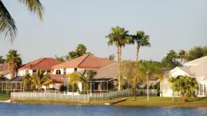 Simboliza la resiliencia y el potencial de transformación de las ciudades del sur de Florida ante sus desafíos sociales y económicos.