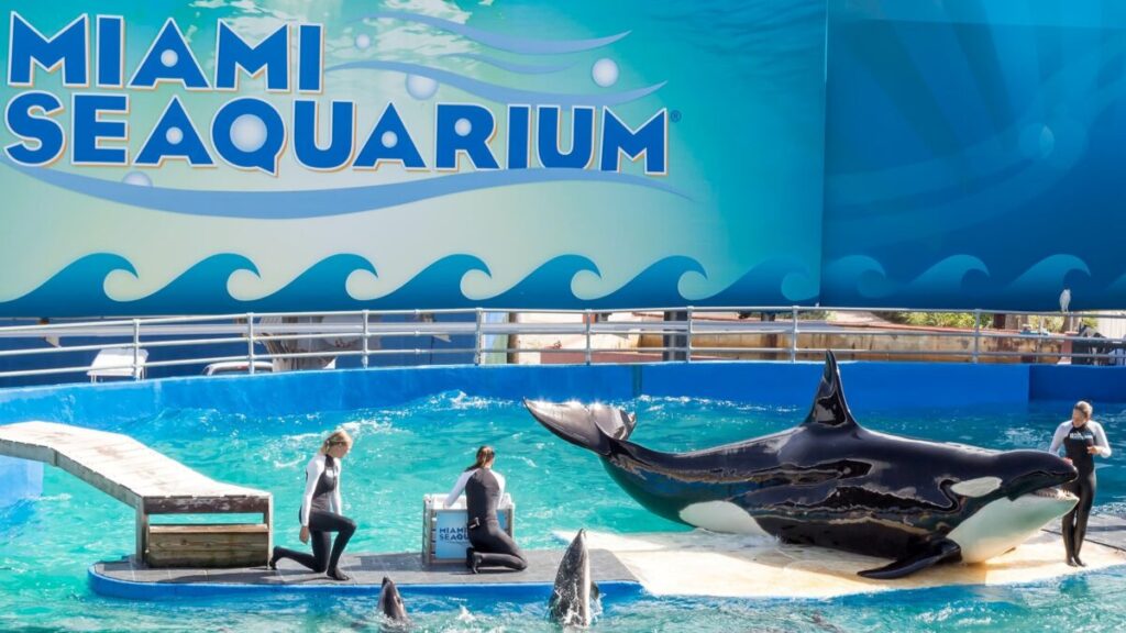 Vista del antiguo Miami Seaquarium en Virginia Key, símbolo turístico que será renovado como espacio educativo junto a Biscayne Bay.