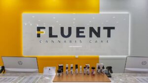 Cambio estratégico y consolidación del mercado del cannabis médico en Miami-Dade.