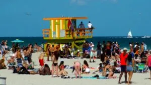 Jóvenes profesionales trabajan en espacios colaborativos de Miami impulsando proyectos digitales y sustentables de autoempleo.