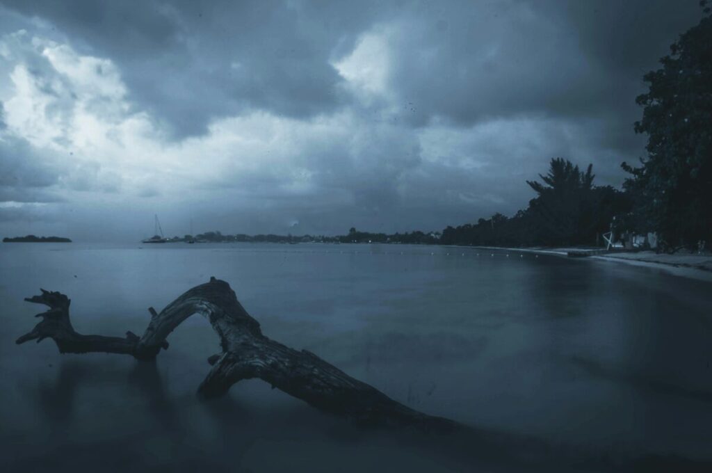 Jugadores del Miami Heat entregan ayuda humanitaria a damnificados por huracán Melissa en Jamaica