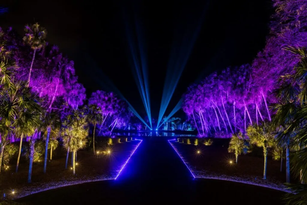 Instalación luminosa de NightGarden en Miami con luces digitales en jardín botánico Fairchild