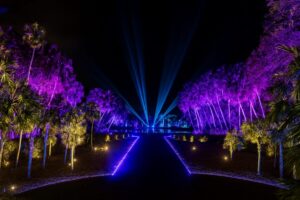Instalación luminosa de NightGarden en Miami con luces digitales en jardín botánico Fairchild
