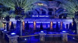 Fachada nocturna de un local tipo lounge en Florida representando la situación financiera de Blue Martini