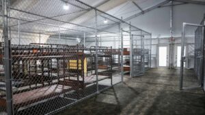 Alligator Alcatraz continúa abierto tras fallo de juez federal en Florida mientras avanzan litigios