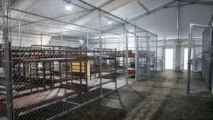 Alligator Alcatraz continúa abierto tras fallo de juez federal en Florida mientras avanzan litigios