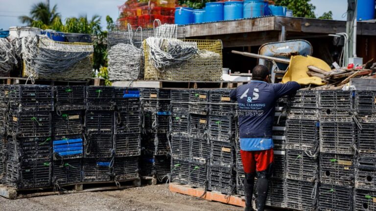Operativos migratorios en la carretera A1A de los Cayos Florida