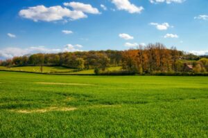 Vista aérea de terrenos forestales en Putnam County protegidos con inversión estatal para conservación