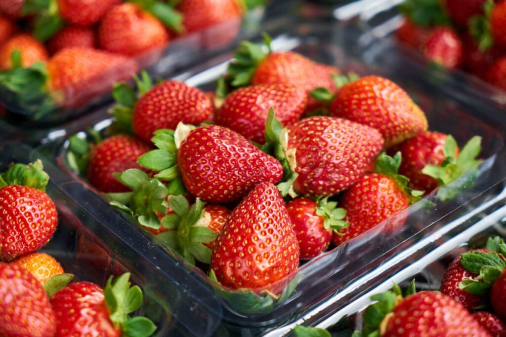 Fresas frescas de Oppy y Dole, cultivadas en México, listas para distribución en Estados Unidos