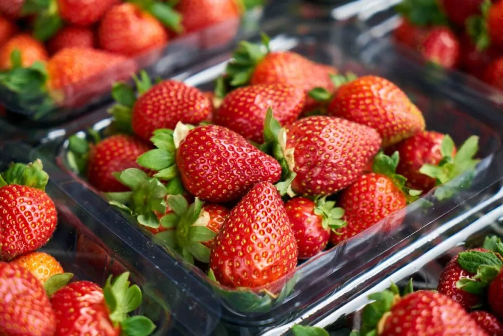 Fresas frescas de Oppy y Dole, cultivadas en México, listas para distribución en Estados Unidos