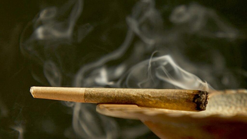 Activistas de Smart & Safe Florida impulsan verificación de firmas para nueva enmienda sobre cannabis