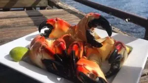 Mercados de Miami con mariscos frescos locales, pescado del día y productos del mar para consumo doméstico y gastronómico