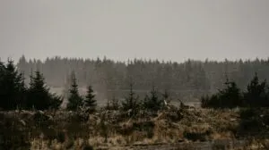 Tormenta invernal con nieve, viento y temperaturas bajo cero en México hoy 24 de enero