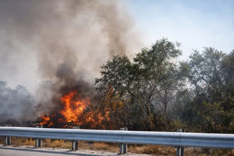 Incendio en Everglades Florida generando columnas de humo afectando visibilidad y calidad del aire