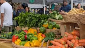 Mercados de agricultores en Miami con puestos de frutas tropicales y público local