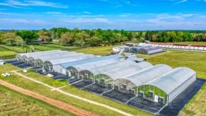 Ola de frío en el sur de Florida con cultivos cubiertos por hielo y sistemas agrícolas dañados tras temperaturas extremas