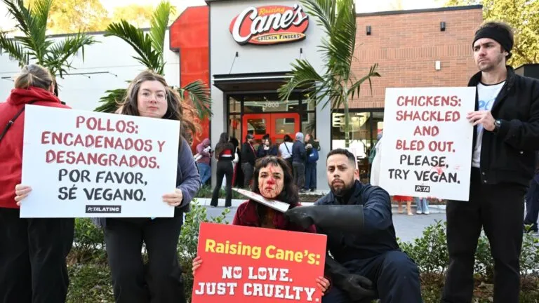 PETA realiza una protesta visual frente a un restaurante en Miami durante un evento de apertura concurrido