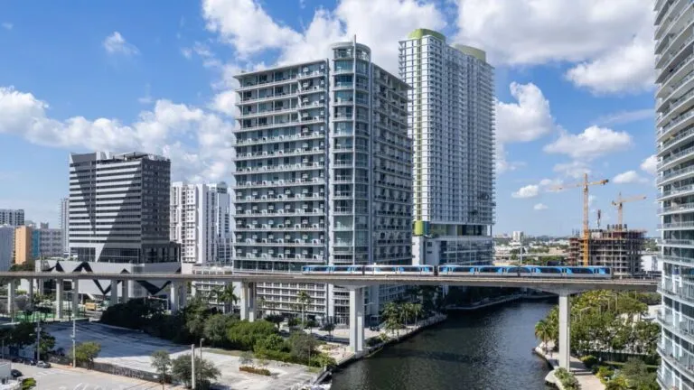 Neo Vertika en Miami tras polémica por retiro de palomas en Brickell y debate sobre manejo de fauna urbana