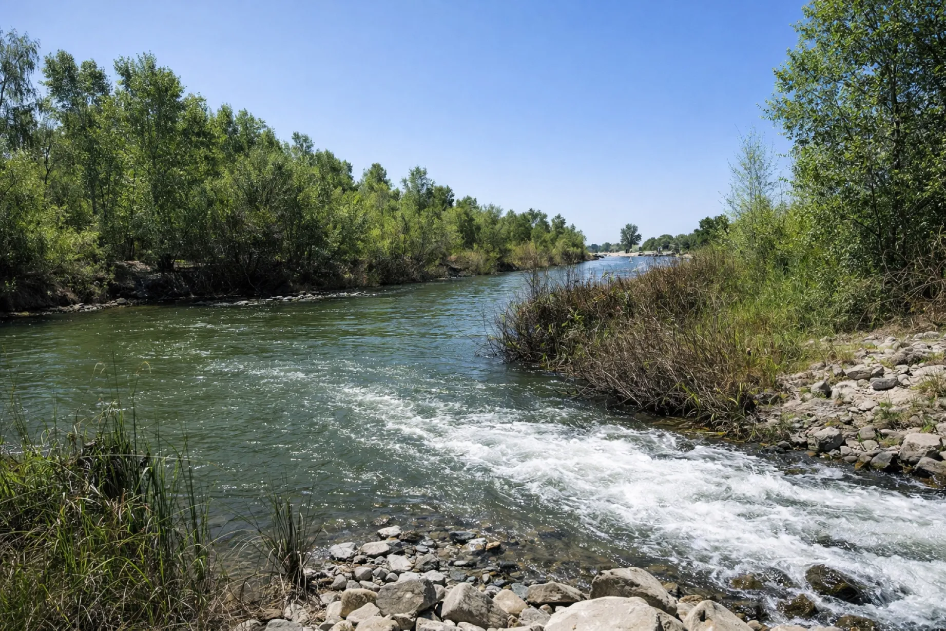 Foz Rio Colorado Restauración del río Colorado transforma humedales