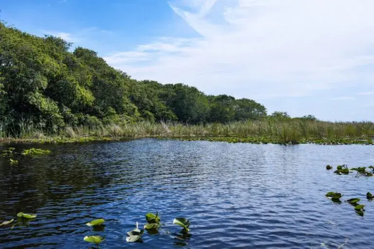 Vista panorámica del Lago Okeechobee en Florida con ecosistema natural y agua dulce clave para economía regional