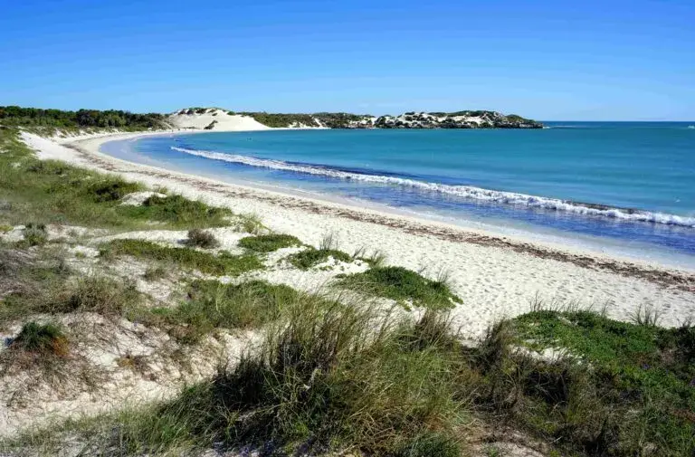 Dunas costeras en México afectadas por urbanización y falta de protección ambiental