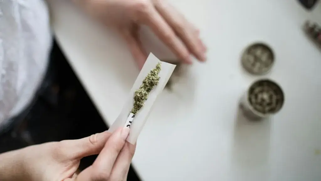 Get Stoned en Miami con personas disfrutando playa, cultura y espacios urbanos tras consumir marihuana