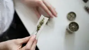 Get Stoned en Miami con personas disfrutando playa, cultura y espacios urbanos tras consumir marihuana