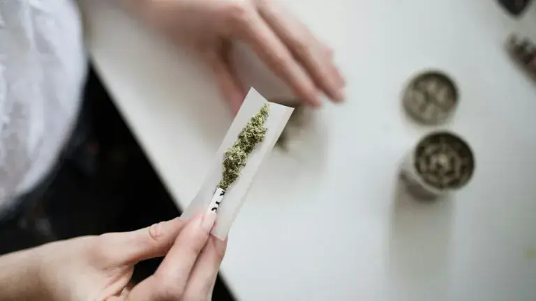 Get Stoned en Miami con personas disfrutando playa, cultura y espacios urbanos tras consumir marihuana