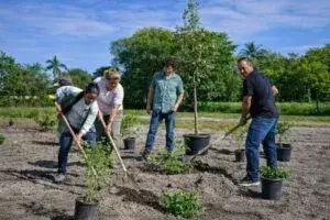 Medidas en Miami Gardens para reducir el calor extremo en el estadio durante el Mundial con sombra y tecnología climática