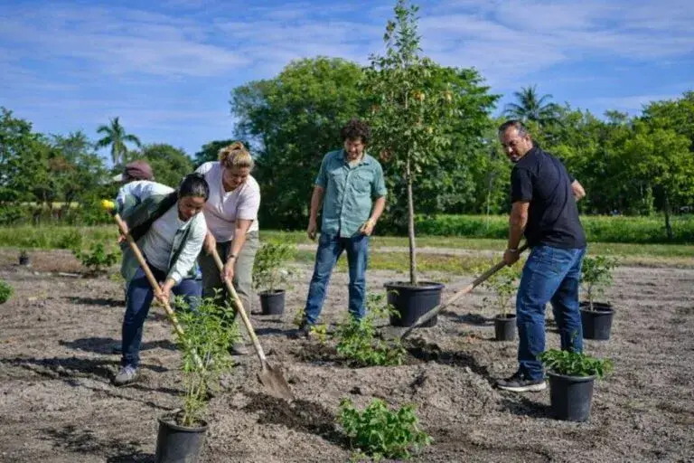 Medidas en Miami Gardens para reducir el calor extremo en el estadio durante el Mundial con sombra y tecnología climática