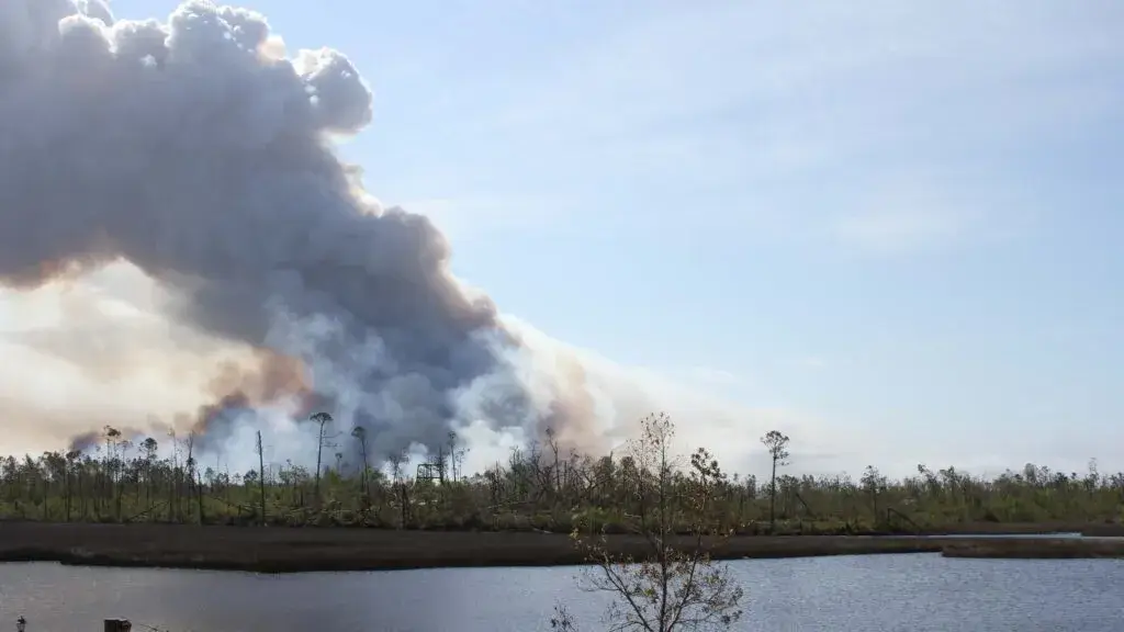 Sequía extrema aumenta el riesgo de incendios forestales en comunidades residenciales de Florida