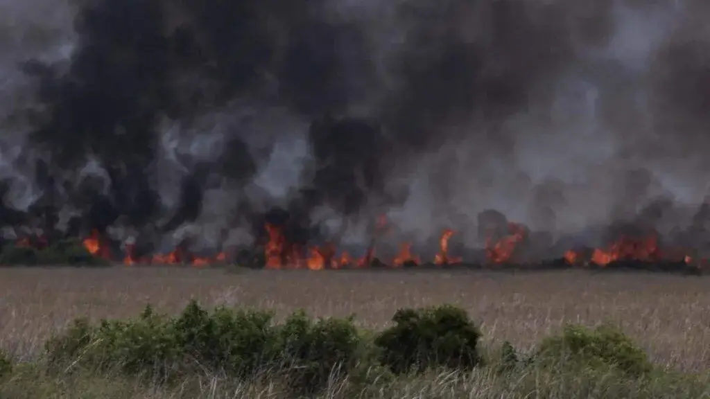 Incendios activos afectan la calidad del aire y la visibilidad en Broward y Miami-Dade