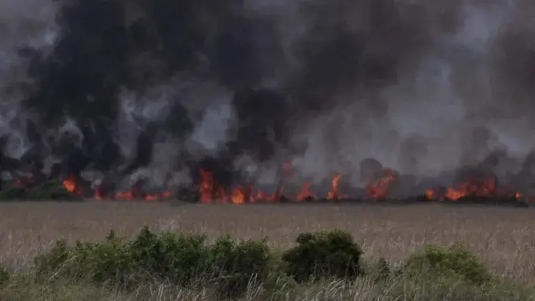 Incendios activos afectan la calidad del aire y la visibilidad en Broward y Miami-Dade