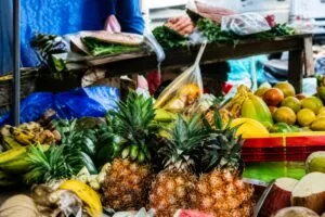 distribución de alimentos gratis en Florida con apoyo comunitario en mayo