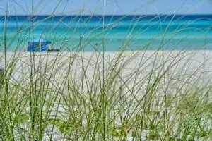 Avistamiento de tiburones en Florida cerca de playas con actividad marina y condiciones seguras para visitantes