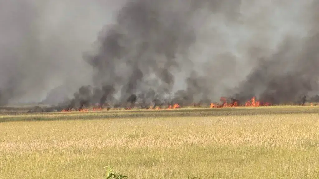 Columna de humo del incendio forestal en los Everglades de Broward vista desde una zona cercana.
