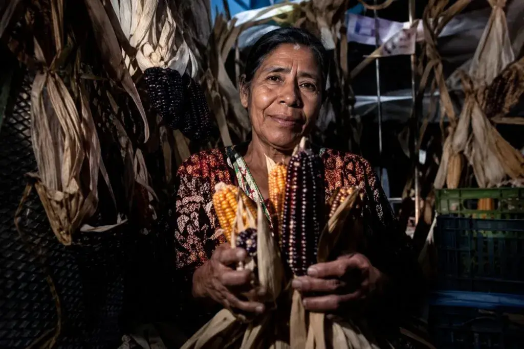 Expo Maíz 2026 en Xochimilco reúne productores para compartir semillas, saberes y prácticas sostenibles en México.
