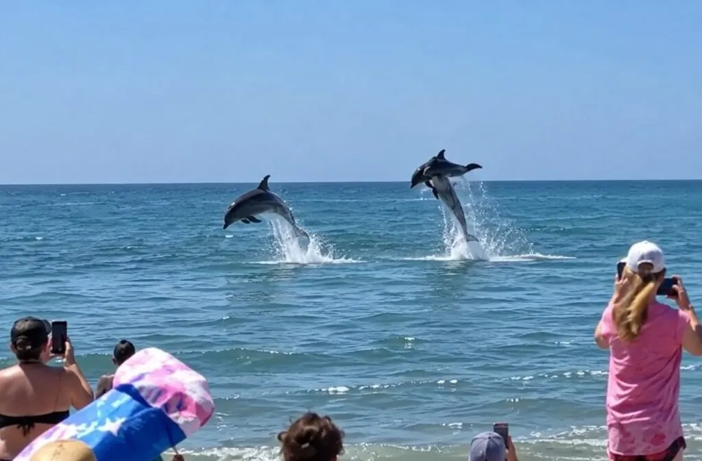 Dos delfines saltando simultáneamente cerca de una playa de Florida, con bañistas observando desde la orilla. Fotografía fotorrealista, profesional, natural, horizontal, sin texto ni marcas.
