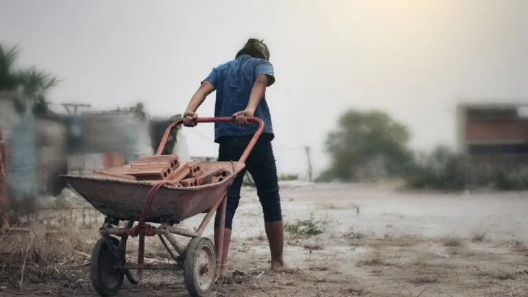 El trabajo infantil en México afecta la educación y las oportunidades de millones de menores en comunidades vulnerables.